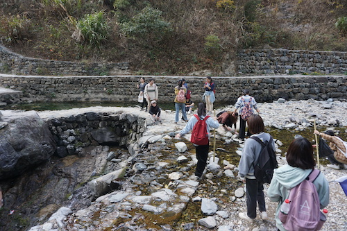 微信图片_20191123225642