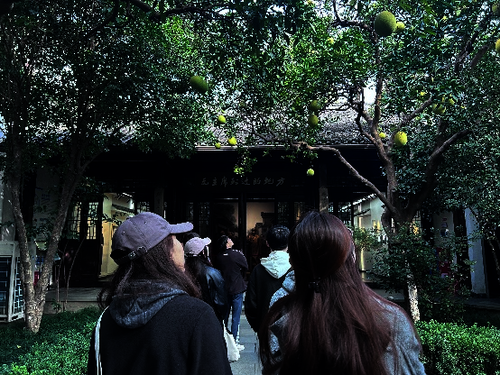 图片5